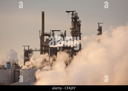 Raffinerie de pétrole et des nuages de vapeur, Edmonton, Alberta, Canada. Banque D'Images