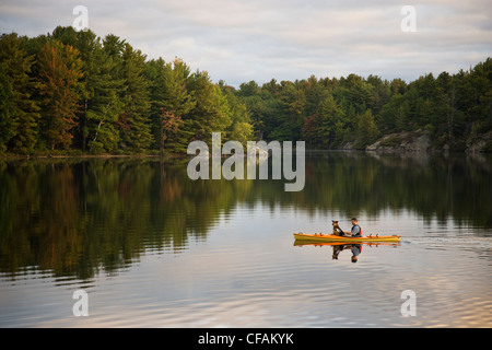 Jeune homme kayak avec chien sur Gull Lake près de Gravenhurst, Ontario, Canada. Banque D'Images