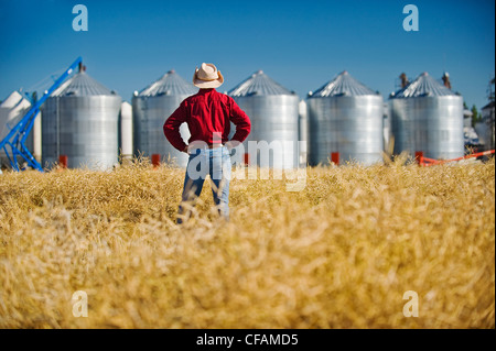 Farmer donne sur la récolte à maturité sur le terrain prêt Banque D'Images