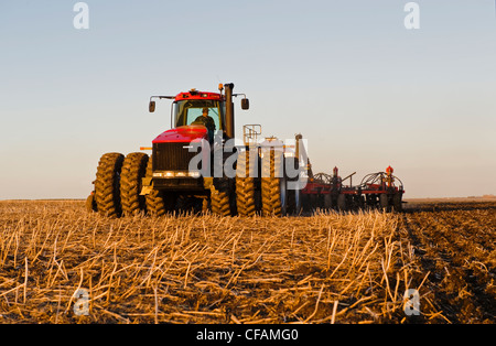 Déplacer le tracteur et l'air et jusqu'à la plantation semoir grain dans le chaume de canola, près de Dugald (Manitoba), Canada Banque D'Images