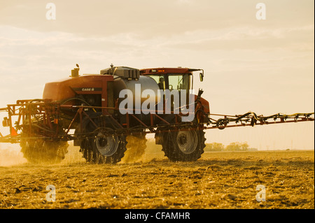 Un pulvérisateur enjambeur applique l'engrais liquide sur un champ nouvellement ensemencées, près de Dugald (Manitoba), Canada Banque D'Images