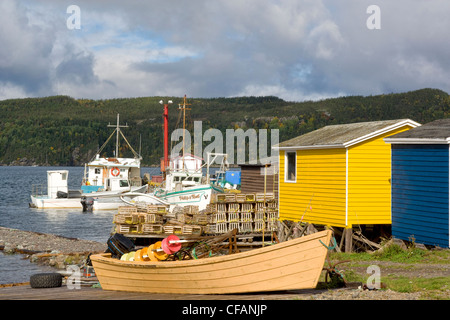 Des bateaux de pêche, Princeton, Terre-Neuve et Labrador, Canada. Banque D'Images