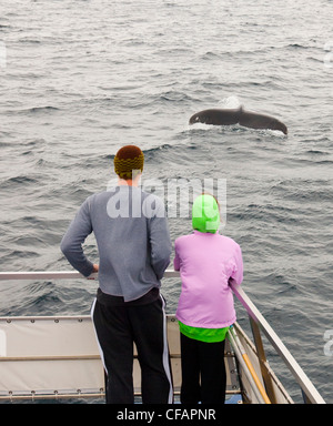 Les observateurs de baleines à bosse de visualisation Banque D'Images