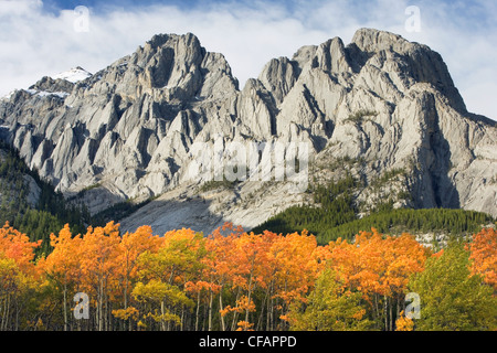 Automne scenic avec Mont Abraham, Kootenay Plains, Alberta, Canada Banque D'Images