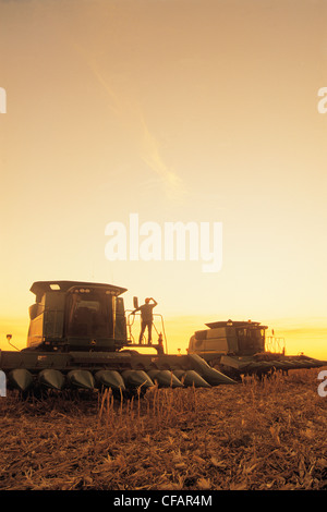 La silhouette d'un agriculteur sur son champ de maïs récoltés au coucher du soleil près de La Salle, Manitoba, Canada Banque D'Images