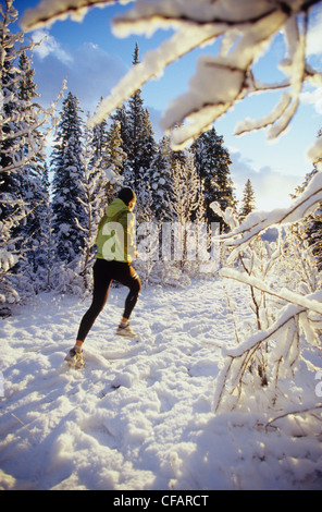 Une jeune coureuse bénéficiant d'un matin d'hiver courir dans le parc national de Banff, Alberta, Canada Banque D'Images