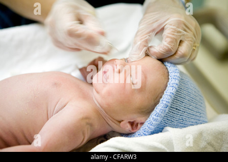 Quelques minutes old baby boy être pesé, mesuré et réception de la crème antibiotique dans les yeux, Châteauguay, Québec, Canada Banque D'Images
