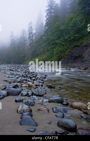 Carmanah Creek qui se jette dans l'océan le long de la piste de la côte ouest de l'île de Vancouver, Colombie-Britannique, Canada Banque D'Images