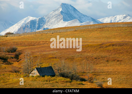 Vieille ferme abandonnée avec des montagnes du Parc national Lacs-Waterton dans la distance, à l'extérieur de Pincher Creek, Alberta, Canada Banque D'Images