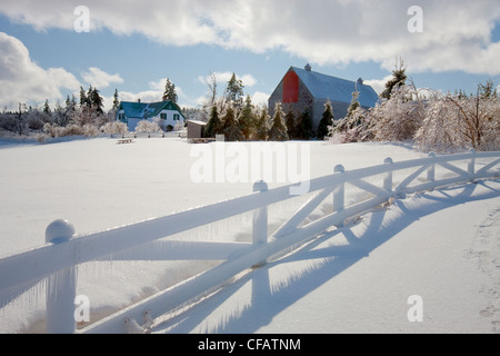 Silver Thaw Anne La Maison aux pignons verts Green Gables Banque D'Images