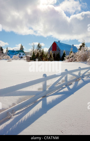 Silver Thaw Anne La Maison aux pignons verts Green Gables Banque D'Images