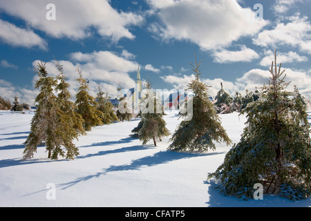 Le Village d'Avonlea en hiver, Cavendish, Prince Edward Island, Canada. Banque D'Images