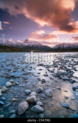 Rivière Saskatchewan Nord avec le Mont Peskett en arrière-plan, des plaines de Kootenay, le mouflon d'incendies, Alberta, Canada Banque D'Images