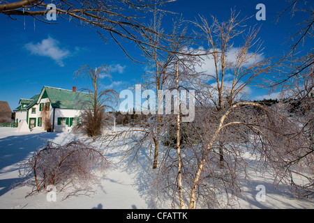 Silver Thaw hiver Anne La Maison aux pignons verts Green Banque D'Images