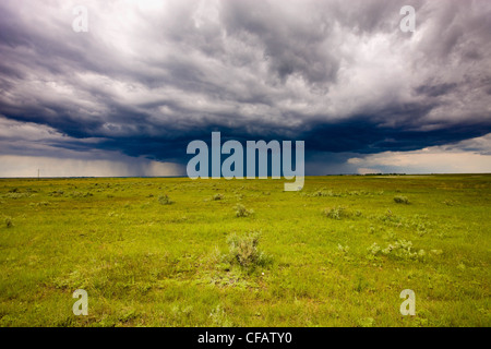 Tempête sur prairie, Dunmore, Alberta, Canada. Banque D'Images