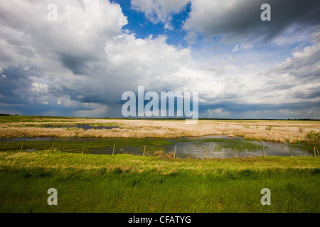 Storm clouds over prairie, Ralston, Alberta, Canada. Banque D'Images