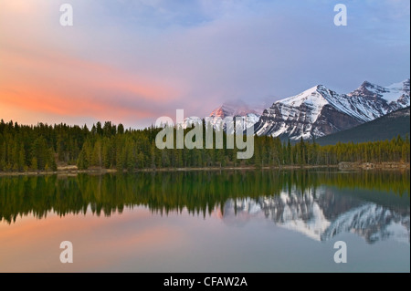 Herbert Lake et la gamme Bow, Banff National Park, Alberta, Canada Banque D'Images