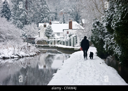 Personne qui marche dans la neige chien Banque D'Images