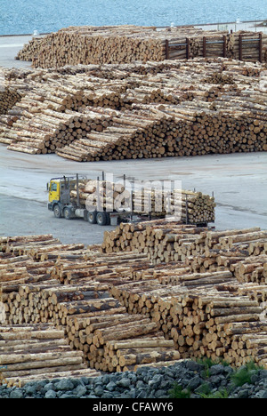 La NOUVELLE ZELANDE, Picton, stocks de bois abattu d'être prêt pour l'expédition de l'île du Sud exportations port pâtes pa Banque D'Images