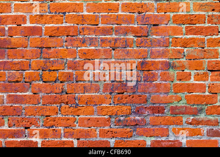 Grunge texture mur de briques rouges. Banque D'Images