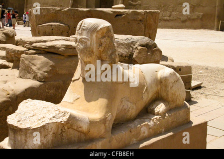 Avenue de sphinx à l'entrée du grand temple de karnak dédié au culte d'Amon, dans la ville de Louxor en Égypte Banque D'Images