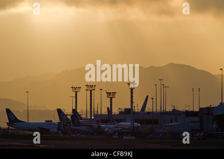 Des aéronefs sur l'aire de trafic, l'aéroport d'Auckland, Nouvelle-Zélande Banque D'Images