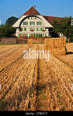 Domaine, ferme, ferme, ferme, ferme, Burgdorf, Feld, champ de blé, champ de maïs, dans le canton de Berne, de l'agriculture, de l'agriculture, l'Lercheb Banque D'Images