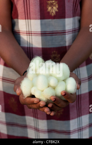 Indian girl holding cocons de vers à soie dans ses mains. L'Andhra Pradesh, Inde Banque D'Images