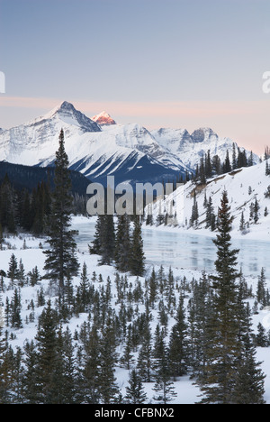 Mont Erasmus, pic de l'enquête, et de la rivière Saskatchewan Nord, Banff National Park, Alberta, Canada Banque D'Images