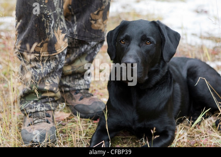 L'homme et le chien la chasse ensemble en Colombie-Britannique, Canada Banque D'Images