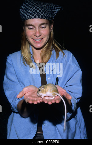 Sandy Robertson biologiste tenant une wild rat kangourou d'Ord (Dipodomys ordii), le sud-est de l'Alberta, Canada Prairie Banque D'Images