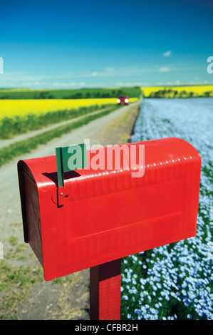 Boîte aux lettres le long de routes de campagne, avec des champs de canola et de lin dans le fond près de Somerset, Manitoba, Canada Banque D'Images