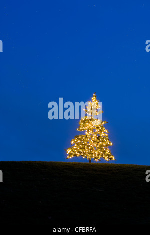 Le dirigeant d'une des lumières d'arbre de Noël sur une colline crée une conception intéressante à la lumière et la couleur. Banque D'Images