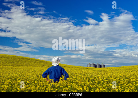 Un homme donne sur un champ de floraison du canola à cellules à grains dans l'arrière-plan, Tiger Hills, Manitoba, Canada Banque D'Images