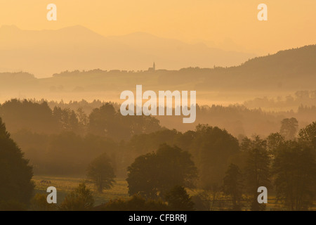 L'Europe, Allemagne, Berlin, pays de Berchtesgaden, Ulrichshögl, Ulrichshoegl, Ainring, Inzell, Ufering, nature, Banque D'Images