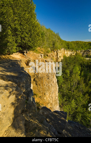 Les falaises calcaires de l'Escarpement du Niagara de Kelso/Glen Eden de conservation dans la région de Halton près de Milton, Ontario, Canada. Banque D'Images