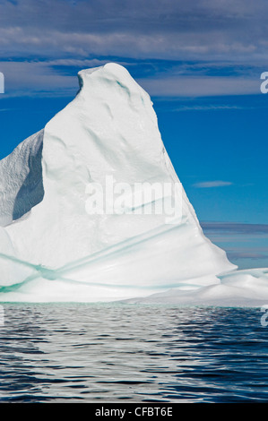 Iceberg flotte dans la baie de la Trinité au large de la péninsule de Bonavista de l'Est de Terre-Neuve, Terre-Neuve et Labrador, Canada. Banque D'Images