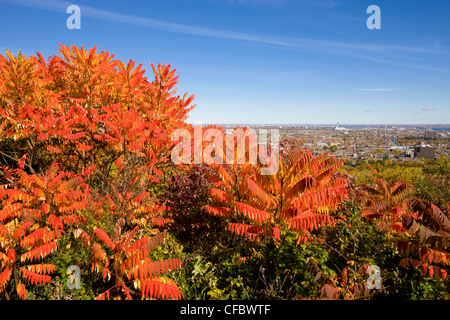 Vue depuis le mont Royal à l'automne, Montréal, Québec, Canada. Banque D'Images