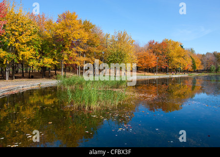 Lac aux castors dans le parc du mont Royal, Montréal, Québec, Canada. Banque D'Images