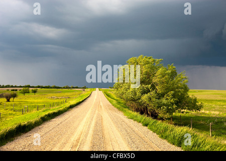 Menaces sur les champs des prairies, en Saskatchewan, Canada. Banque D'Images