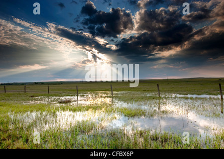 Tempête sur Prairie près de Morse, Saskatchewan, Canada. Banque D'Images