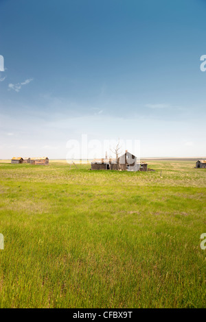 Ferme abandonnée de mauvais Hills, Canada, Saskatchewan. Banque D'Images