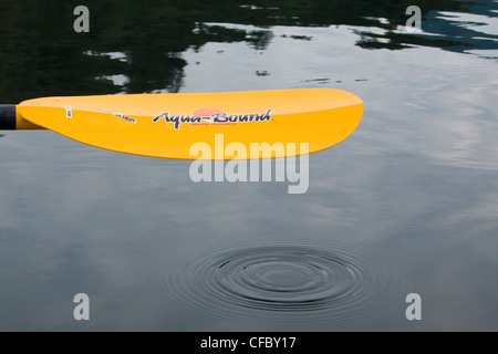 Un kayak de mer paddle des gouttes dans l'océan de Hotham Sound près de Jervis Inlet British Columbia Canada Banque D'Images