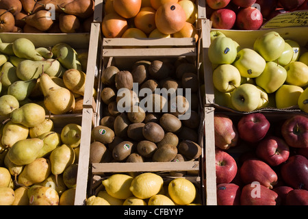 Variété de fruits à vendre à un marchand de shop Banque D'Images