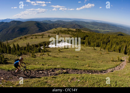 Un vélo de montagne Descente de la voie unique de Cox Hill, Kananaskis, AB Banque D'Images