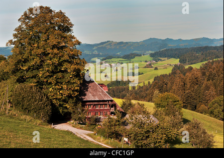 Place de la ferme, arbre, farmerhouse, Emmental, Grat, maison, ferme, campagne vallonnée, hill country, Downs, paysage vallonné, dans le canton de Berne Banque D'Images