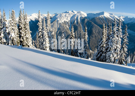 Les montagnes Selkirk en hiver, près de Revelstoke, en Colombie-Britannique Banque D'Images