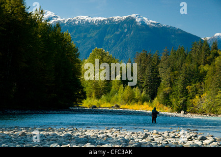 Un pêcheur de mouche fait un cast pour le saumon avec sa castration rod sur la rivière Bella Coola, en Colombie-Britannique, Canada Banque D'Images