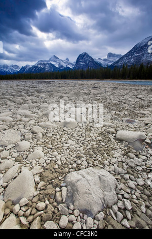 Riverbed rocky à sec de la rivière Athabasca Athabasca, gamme en arrière-plan. Le Parc National Jasper, Alberta, Canada. Banque D'Images