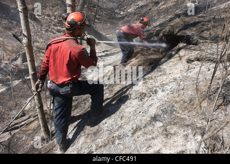 Les pompiers éteindre les points chauds Banque D'Images